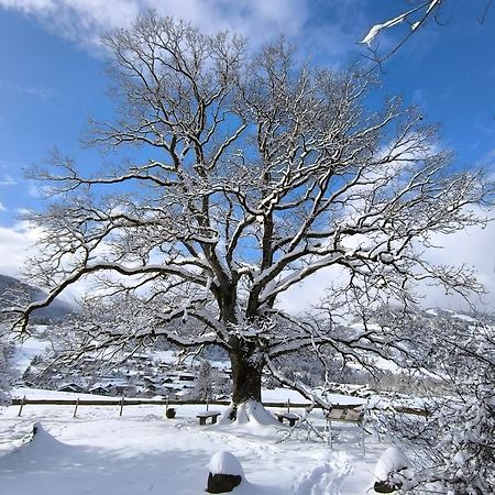 Hotel Garni Oberdorfer Stuben オーバーマイゼルシュタイン エクステリア 写真
